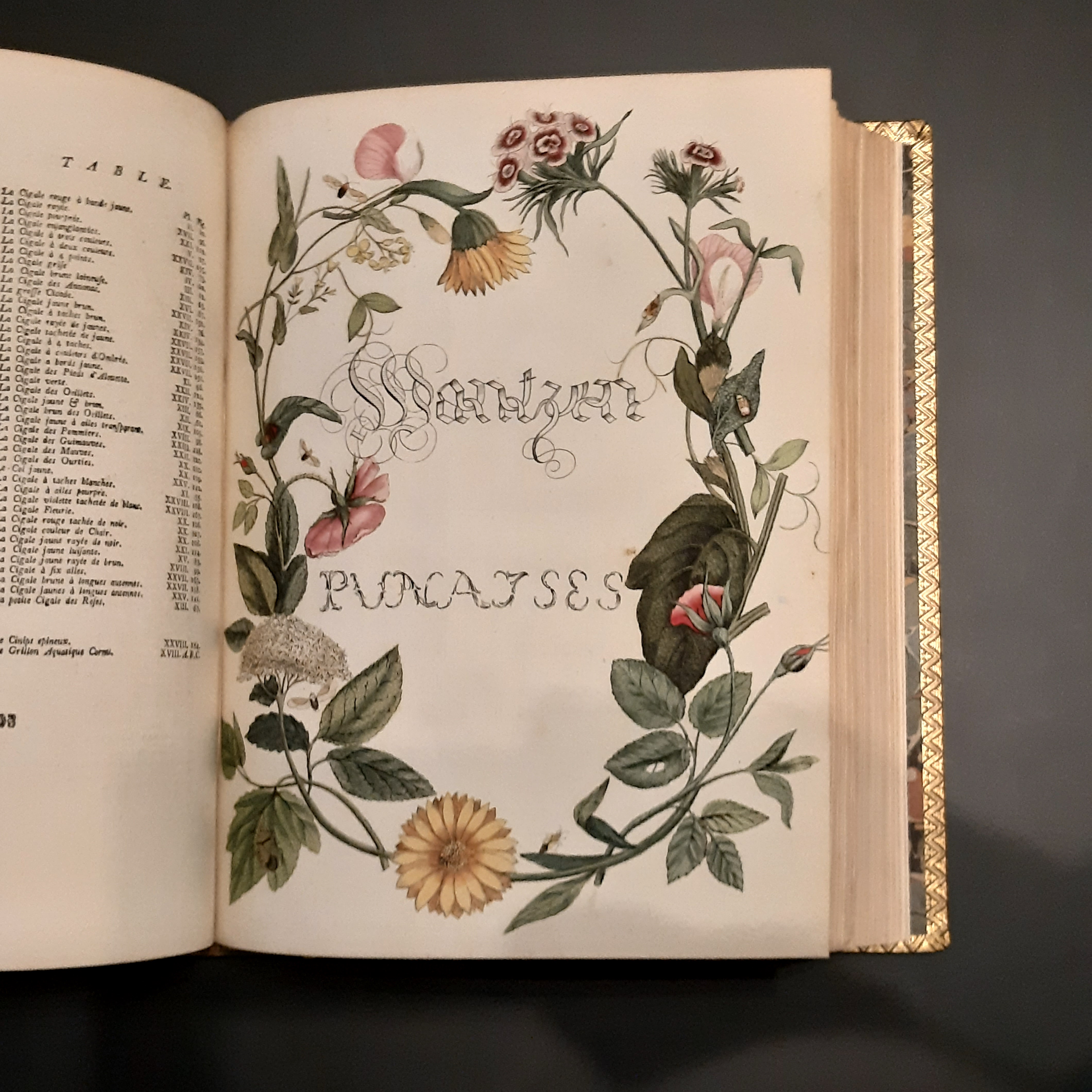 Entomologische Prachtwerken