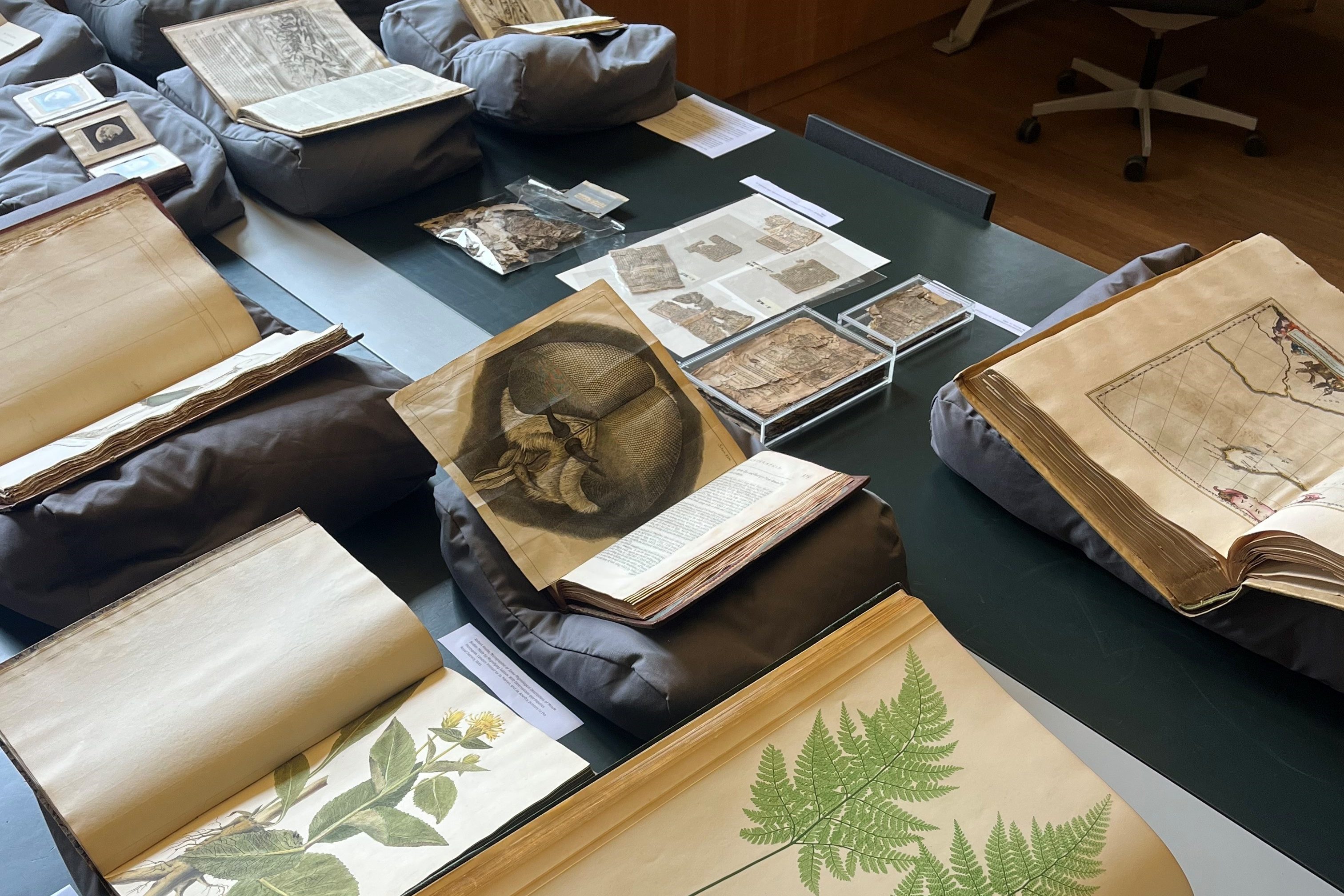 Aangepaste openingstijden op 25 september en 15 oktober 2024 in de Research Library