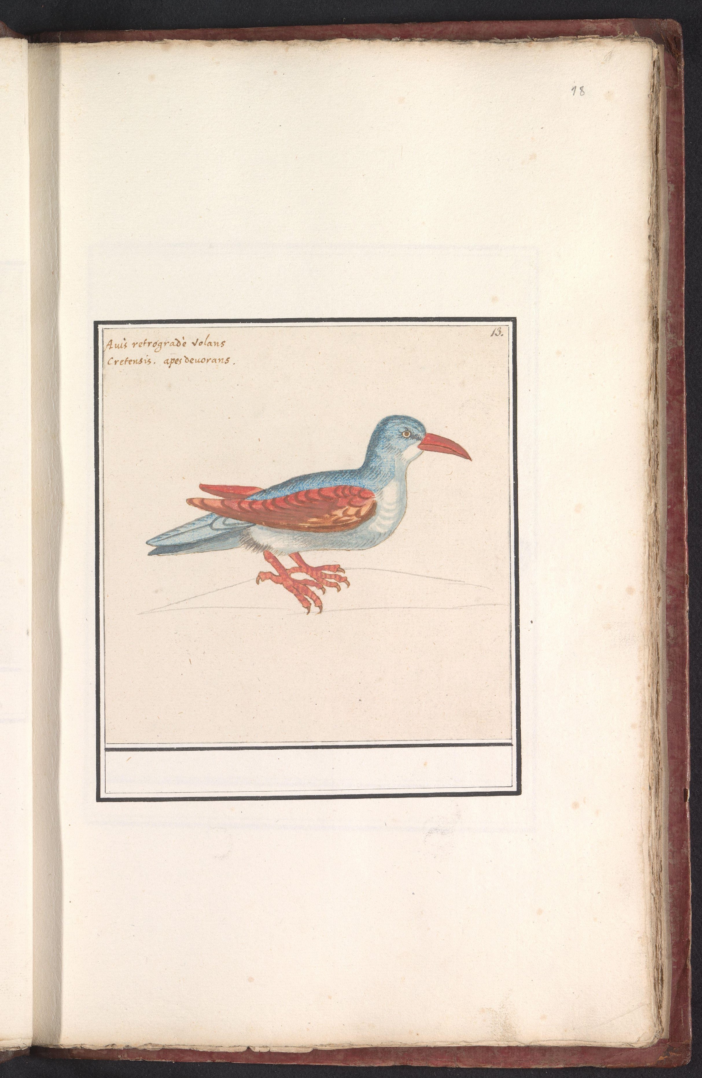 Geheimen van het Rijksprentenkabinet