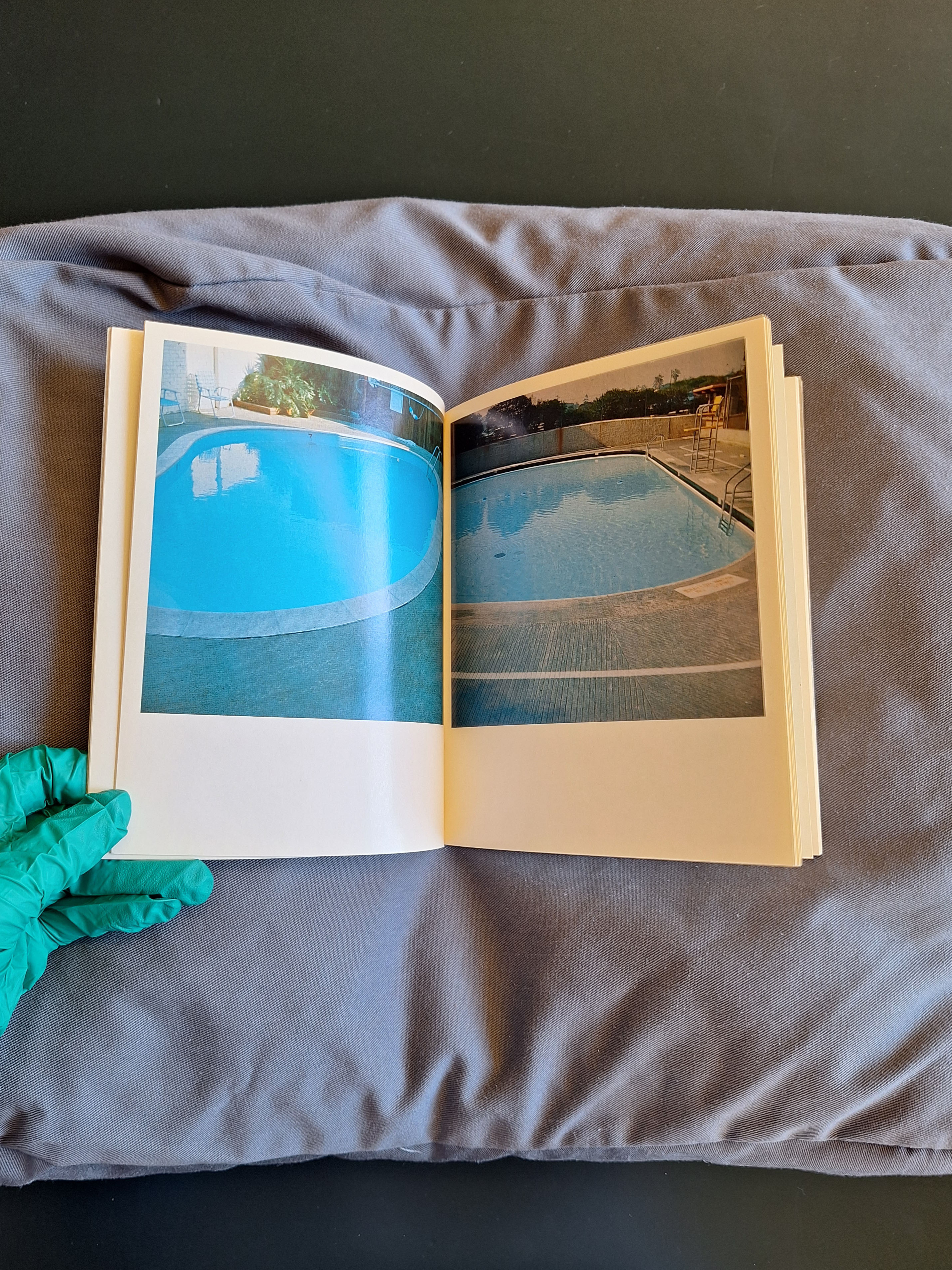 Tachtig studenten, “Nine Swimming Pools and a Broken Glass” in de Studiezaal