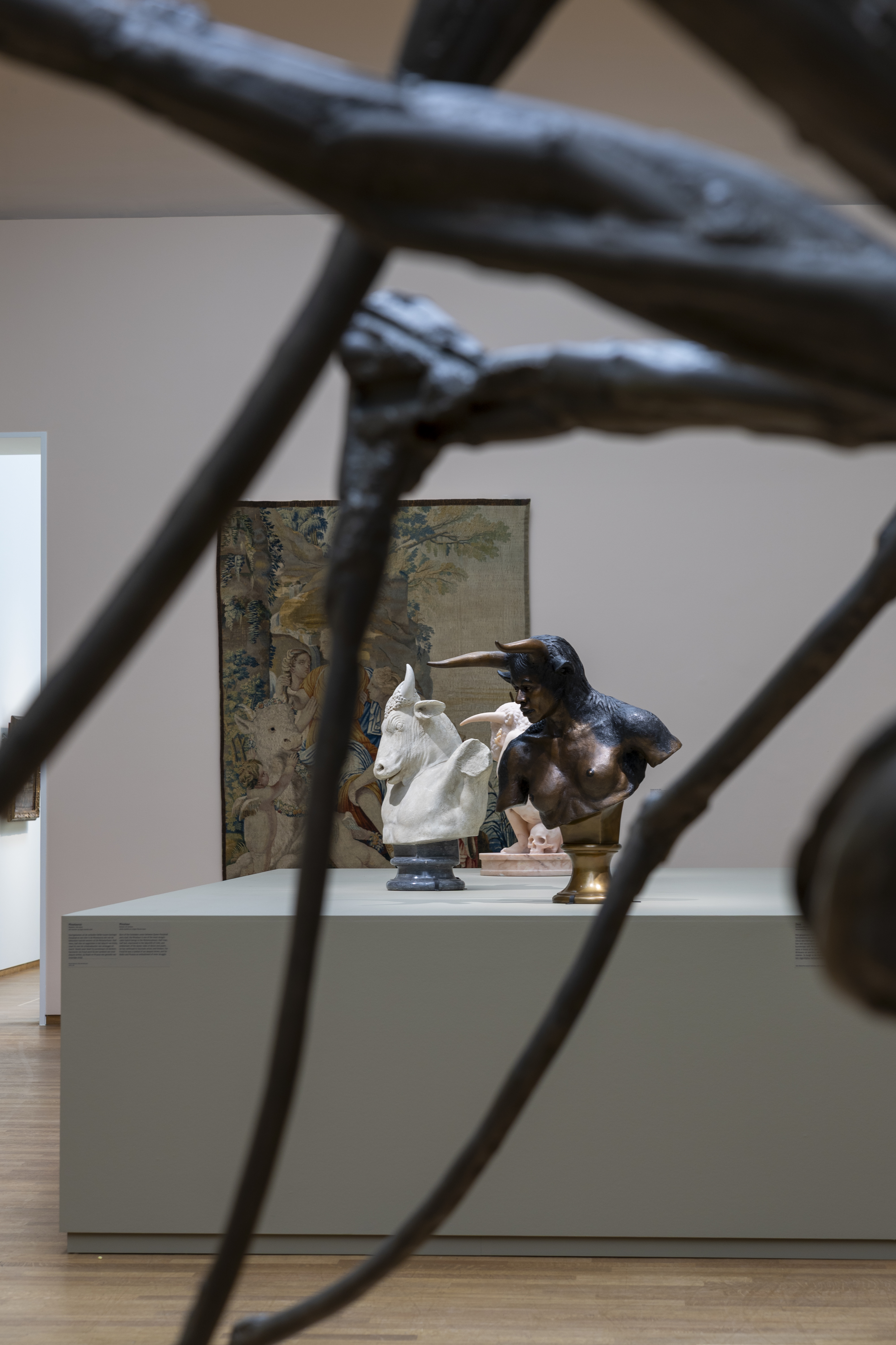 De kunst der verandering: Metamorfosen, Ovidius en de Kunsten in het Rijksmuseum